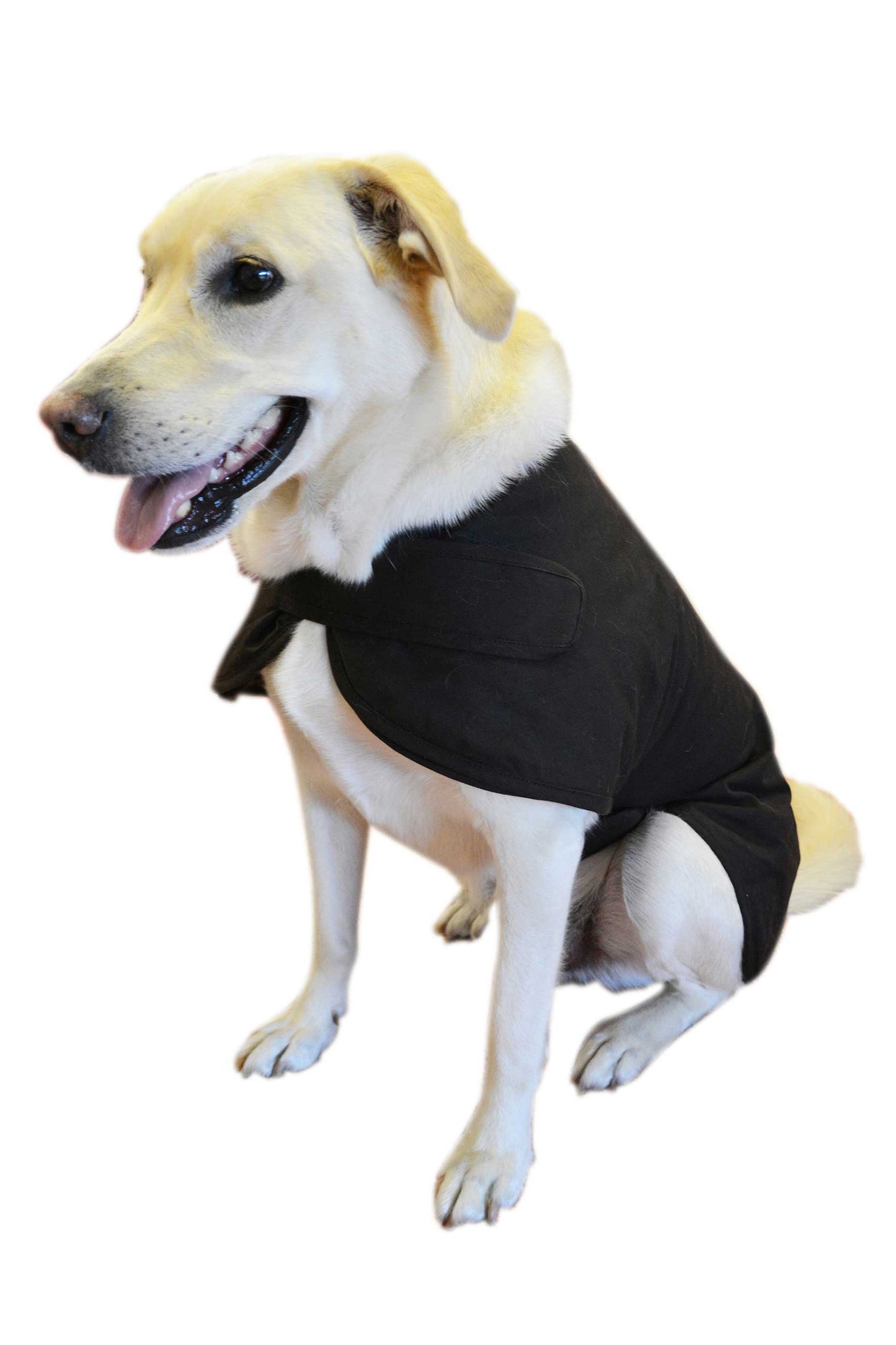 H/CTRY 2in1 OILSKIN DOG JACKET