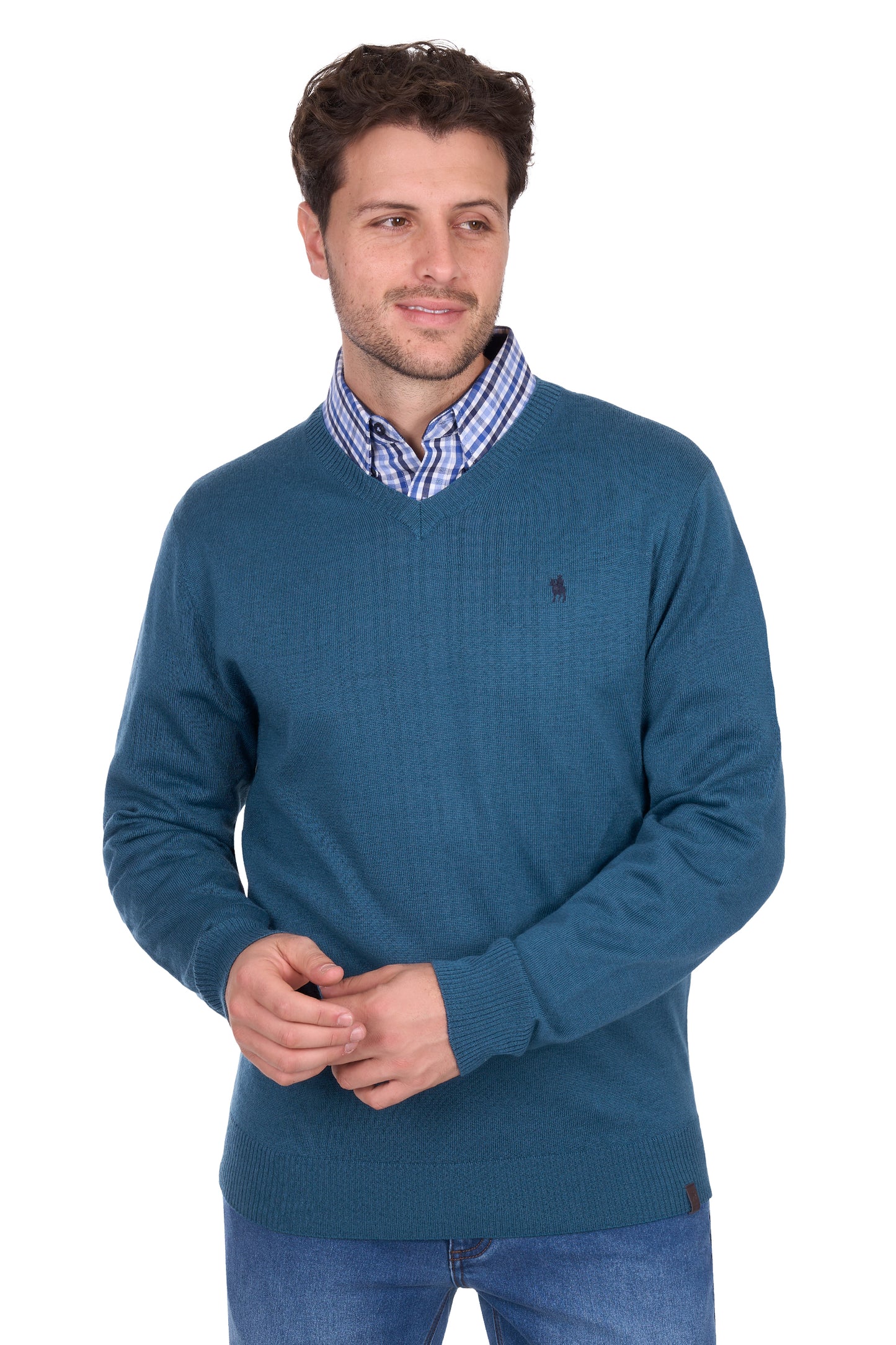 MENS SHANE V NECK JUMPER